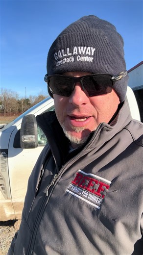 #farmtok #missouri #missouricattlemen #cattlemen #ranching | Farm TikTok