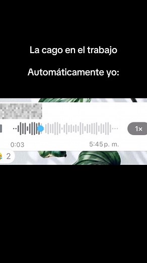 Digital Audio Player Interface Explained