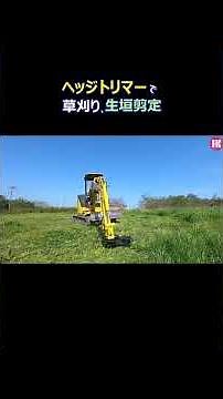 ヘッジトリマーで草刈り、生垣の剪定