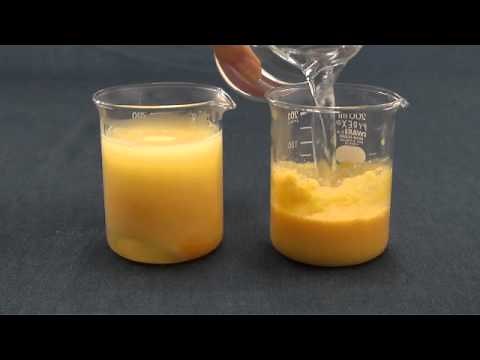 活性酵素スーパーエンザイム　たんぱく質分解実験