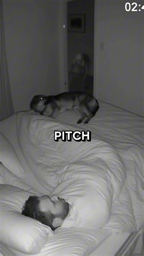 Security Camera Captures Creature Entering Bedroom At Night 💀 #shorts