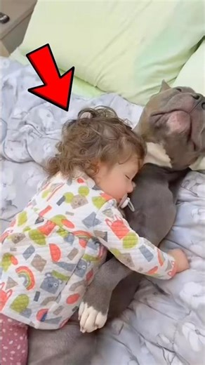 Benefits of Sleeping With Your Dog 😨