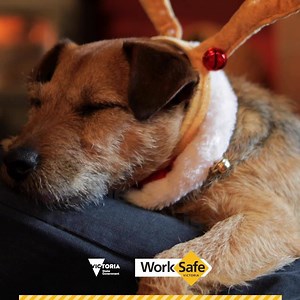 The holiday lead up can increase workplace danger. With busier workloads and more distractions, it’s when incidents can happen. Put safety first. Take care and stay safe for your loved ones. | WorkSafe Victoria