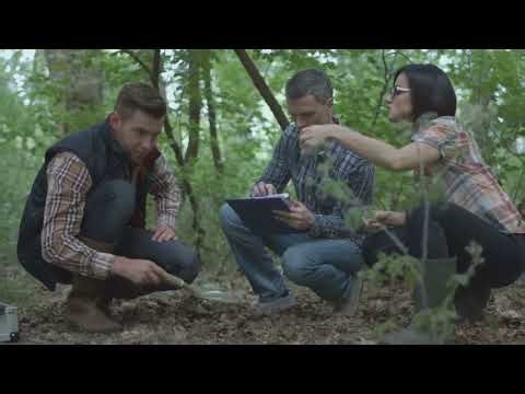 The Basics of Ecological Structure