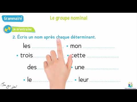 Grade 1 - Grammar - The Noun Phrase