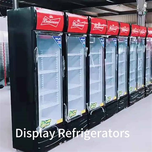 Single Glass Door Refrigerator Coca Display Cooler Cola Drink Fridge