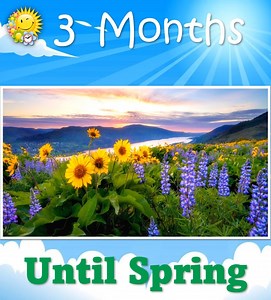 The Countdown to Spring 💛🌈🌷 🌈 👉 https://daysuntilspring.net 👈 🌸 . #Spring #Spring2025 #SpringCountdown #countdown #sunandfun #CountdowntoSpring | Spring Countdown