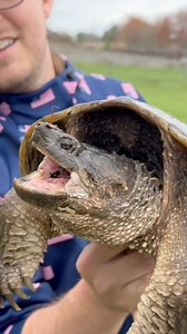 Snapping Turtles are Delicious! #farmlife #farm #snappingturtle #turtles #cooking | Fishin’ with Tate