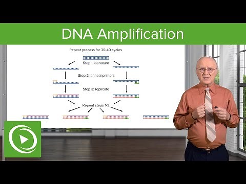 DNA Amplification – Analytical Techniques in Biotechnology – COVID-19 | Lecturio