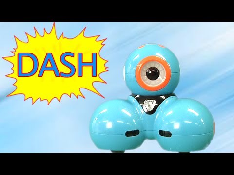 Dash Robot from Wonder Workshop