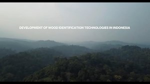 Development of Wood Identification Technologies in Indonesia | World Resources Institute (WRI) Indonesia