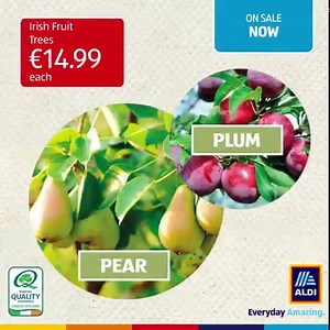 30K views · 115 reactions | Aldi will plant 1 million native Irish woodland trees by 2025, and as part of our commitment to the environment, we want to encourage our customers to get planting. Create a sustainable garden with our range of native Irish trees, in store now. | Aldi Ireland | Facebook