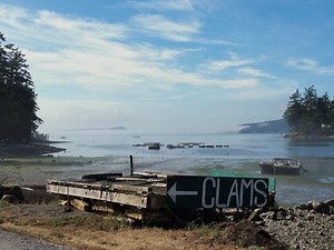 Paralytic Shellfish Poison Prompts Warning On Orcas Island