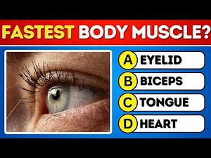 50 EASY General Knowledge Quiz Questions & Answers for Beginners!🧠 Fun Trivia Challenge (A, B, C, D)