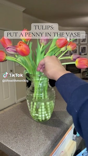 Keep Your Tulips Standing Tall with a Simple Trick