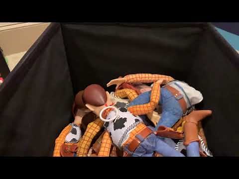 My Entire Woody Collection