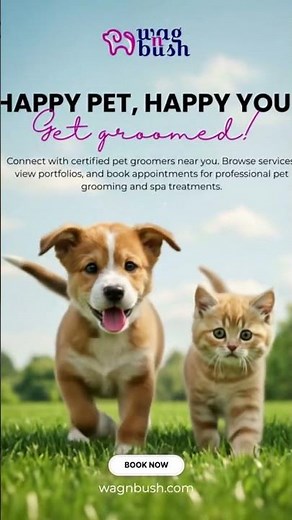 Find Certified Pet groomer near you | wagNbush- marketplace for pet services