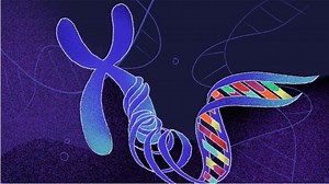 Foundations of Genetics and Genomics Program | Program | Stanford Online