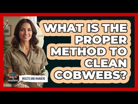 What Is The Proper Method To Clean Cobwebs?
