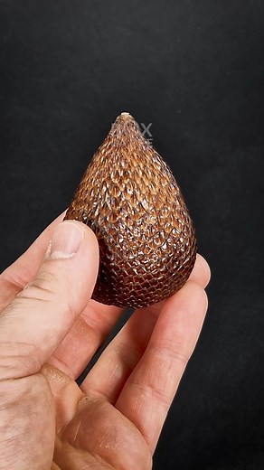 677K views · 14K reactions | 162 Days in 49 seconds. Snake Fruit Time-lapse | Boxlapse | Facebook