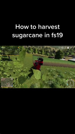 Sugarcane Harvesting Guide in Farming Simulator 19