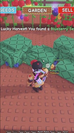 The Best Ways To Make Money in Grow a Garden