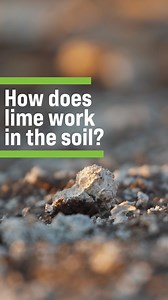 41K views · 412 reactions | How does lime work in the soil? | Ag PhD | Facebook