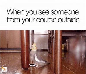 Accommodation For Students on Reels