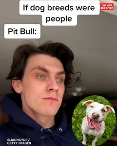 We spoke to the man who went viral for his impressions of dog breeds as humans | BuzzFeed News