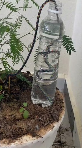 The easiest way to make a homemade drip irrigation system ll DIY home drip irrigation system