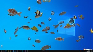 お魚養殖デスクトップアプリ『Fish on the desktop』Steamストアページいきなり登場。クマノミ・錦鯉・サメなどを放流し画面を埋め尽くせ - AUTOMATON