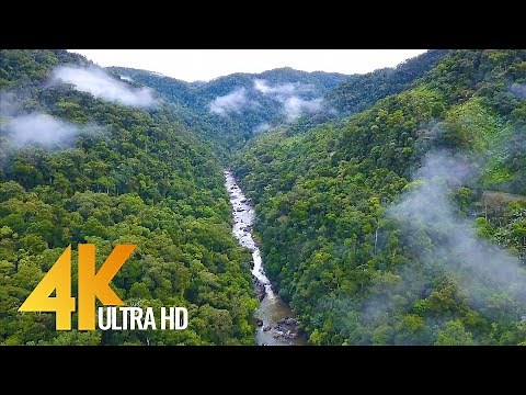 4K Bird's Eye View of Madagascar - Short Preview Video