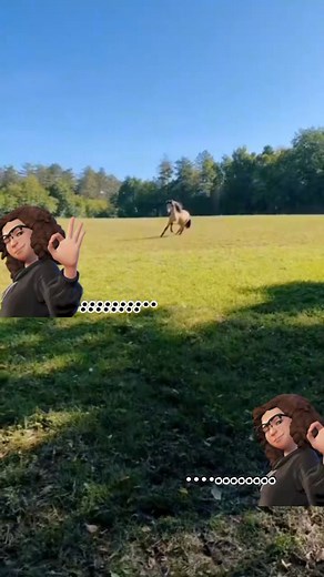 3.1M views · 51K reactions | #vudeosdefacebook #Hermosa #viral | Perez Rous | Facebook