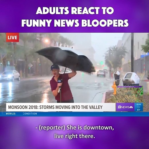 90K views · 220 reactions | These news bloopers are CRAZY! Watch these reporters mess up on live TV! | REACT | Facebook