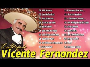 VICENTE FERNANDEZ MEJORES CANCIONES - VICENTE FERNANDEZ 20 GRANDES ÉXITOS MIX
