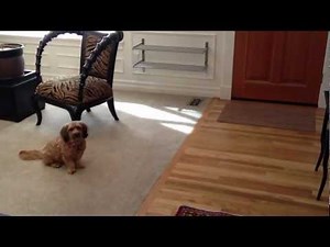 iPhone 4S Camera Test / 1080p / Raw Footage
