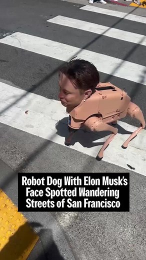 A deeply unsettling robot dog bearing the eerily realistic face of Elon Musk was spotted mid-walkies on the streets of San Francisco this week. The robot is part of the Regular Animals project by Beeple, aka Mike Winkelmann, created in collaboration with mask-maker Hyperflesh and built on Unitree Go2 robot dogs. Art foundation NODE told WIRED the robots were taken out on a walk to promote Beeple’s upcoming exhibition in Palo Alto. Other versions of the robot dog feature the faces of Mark Zuckerb