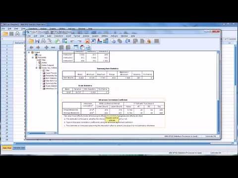 Determining Inter-Rater Reliability with the Intraclass Correlation Coefficient in SPSS