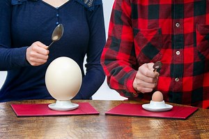 How To Cook An Ostrich Egg? — Farm & Animals