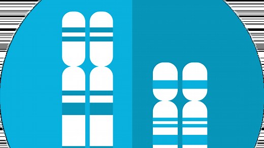Relationships Between DNA, Genes, And Chromosomes