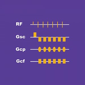 MRI Sequences: spin echo | e-MRI
