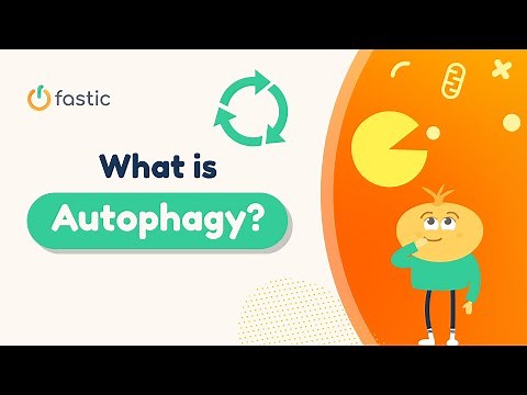 What is Autophagy? Benefits of Intermittent Fasting
