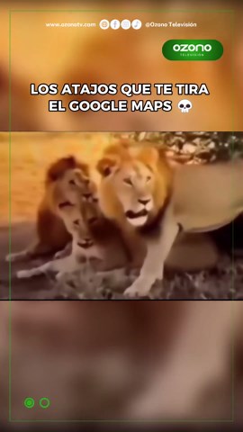 Atajos Sorprendentes de Google Maps que Debes Conocer