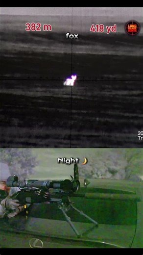 🦊 382 m (418 yd) 🌙 | Night Long-Range Fox Hunt | Thermal Scope | 6.5 Cal