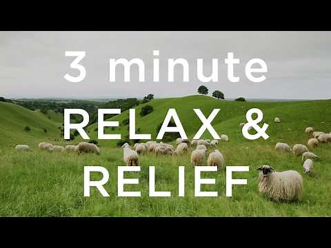 3 Minute Relax and Relief
