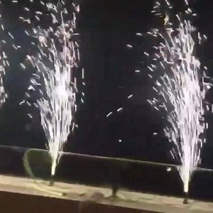 2K views · 21 reactions | New Year Celebrations at Tree Lounge | Tree Lounge | Facebook