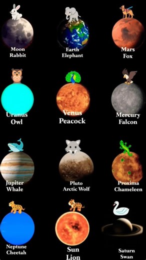 What Animals Would Evolve on alien Planets #universe #planet