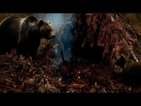 Solo in the Forest! I Built a Mini Fire Pit and Warmed Myself Up