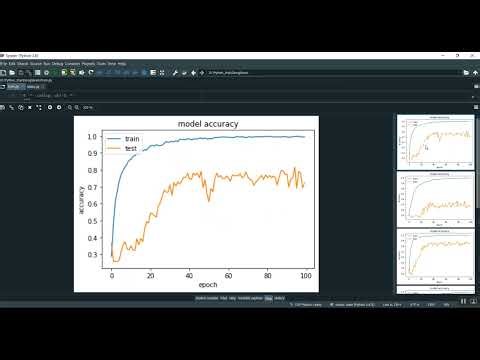 Brain BLSTM in Python Projects