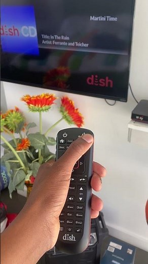 Dish TV Remote
